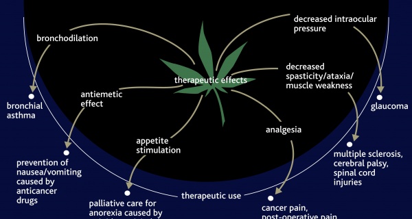 Scientists Still Debating The Effects Of Marijuana