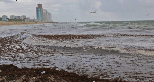720 000 Gallons Of Sewage Leaked Into Waters Off Miami