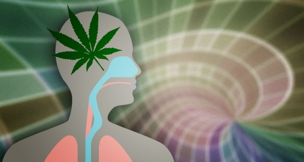 Marijuana Wrecks The Young Brain