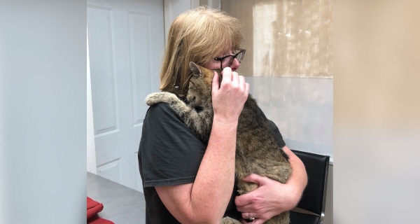 Happy Ending Cat Reunited With Owner After Missing For 11 Years