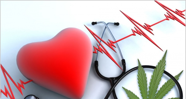 Marijuana Can Be Harmful For Heart Patients But Improves Some Risk Factors Studies Show